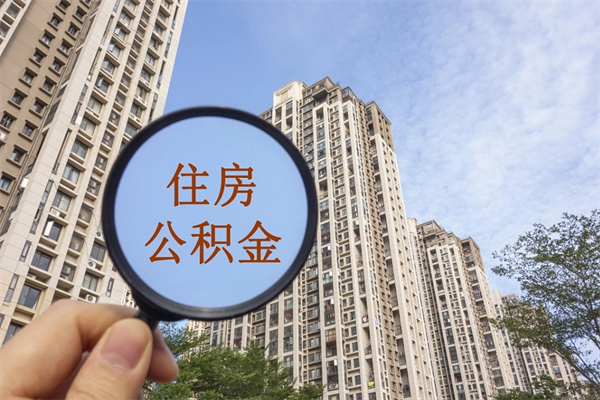 聊城怎么取住房住房公积金（取住房公积金方法）